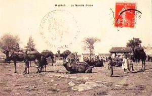 Marnia 252